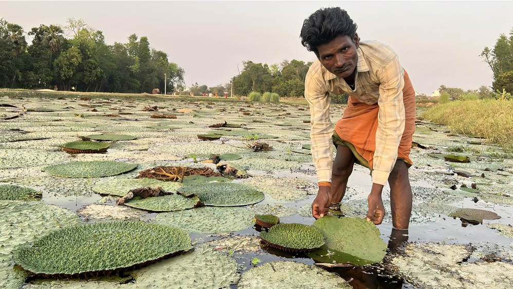 Handshake between two business people